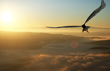 usdt钱包官网-轻松启用生意软件,跨平台无障碍